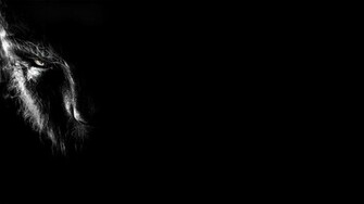 The Wolfman Dark Werewolf F Wallpaper Background