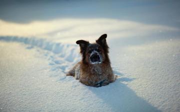 Winter Fun Cute