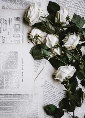 Flowers Aesthetic Pictures Image