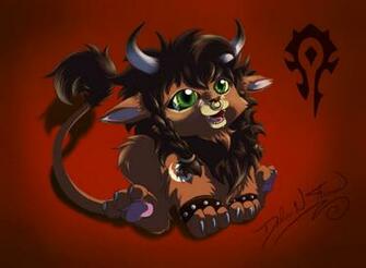 Wow Feral Druid Wallpaper By