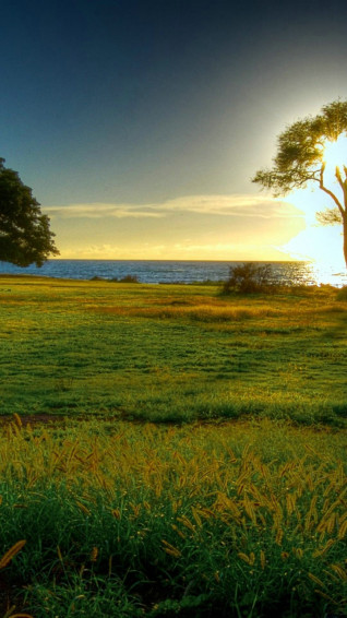 Beautiful Nature Wallpaper iPhone