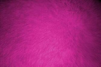 Hot Pink Fur Texture High Resolution Photo Dimensions