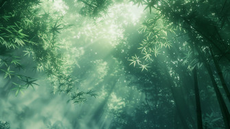 Nature HD Wallpaper For Pc Full Screen 4k