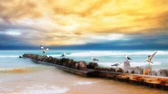Wallpaper Seagulls Logs Birds Coast Sea Sky Yellow Blue Beach