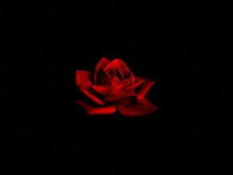Info Wallpaper Dark Love