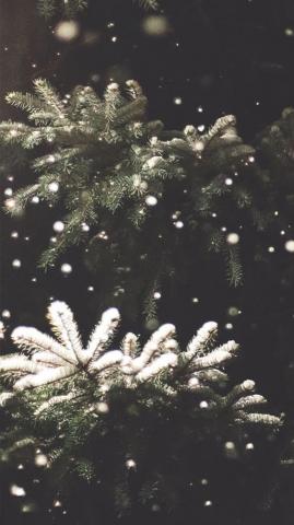 Merry Preppy Christmas iPhone Wallpaper