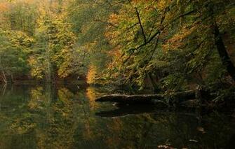 Wallpaper Autumn Forest Lake Turkey Bolu Image For Desktop