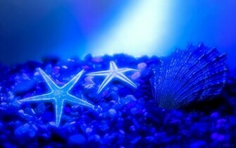 Blue Nature HD Wallpaper In Imageci