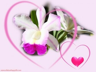 Love Wallpaper With Sweet Roses And Orchids Valentine Heart