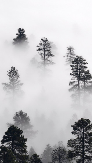 iPhone Wallpaper Aesthetic HD 4k Mobile Phone Image