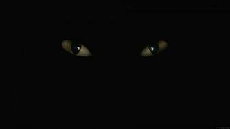 Dark Wallpaper Full HD Desktop