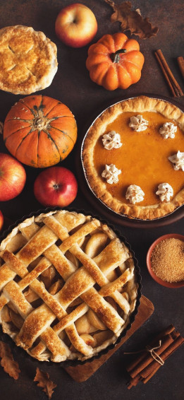 Thanksgiving Wallpaper Background Fall In