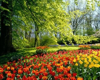 Beautiful Spring Exclusive HD Wallpaper