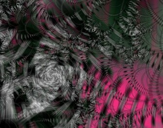 Pink And Black Zebra Wallpaper HD Pretty