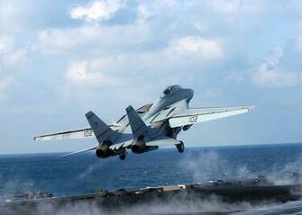 Aircrafts Military Navy F Tomcat HD Wallpaper Army
