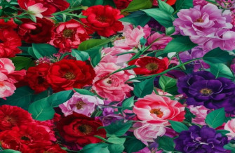 Love Flower Wallpaper