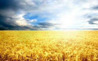 Beautiful High Resolution Wallpaper Ukrainian Flag The Blue Sky And