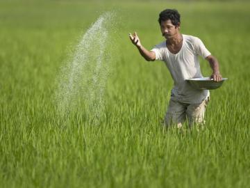 Indian Farmer Wallpaper Top Background