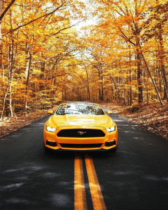 On Yellow Mustang Supercar Design