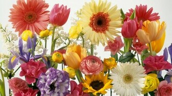Spring Wallpaper HD Desktop Background Flowers