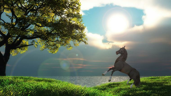 First Edit In Star Stable Online By Sisyaa