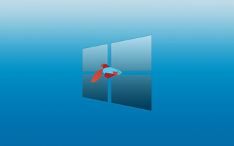 Windows Wallpaper Funny This Is