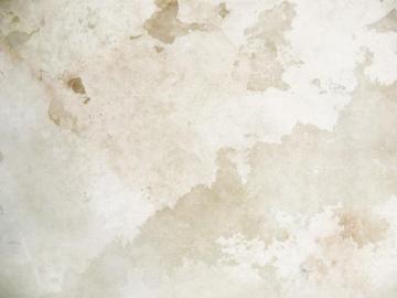 Texture Stucco Photo Background