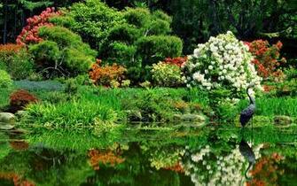 Wallpaper Of Beaitiful Nature Vol No Desktop