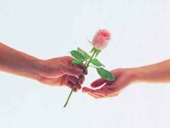 Funny Pictures Gallery Love Roses Wallpaper Rose