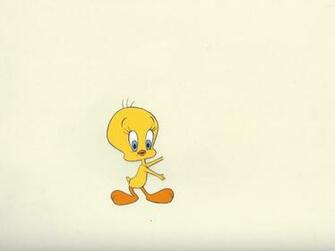 Looney Tunes Tweety Picture Photo