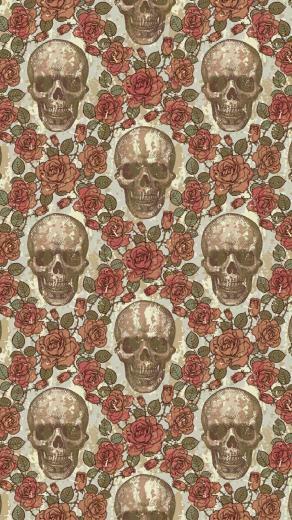 Ammie Asklund On My Apple Decor In Skull Wallpaper