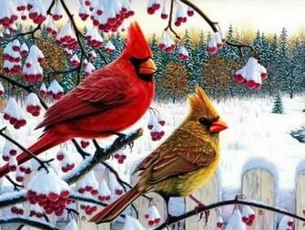 Winter Cardinals