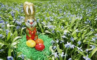 Under The Easter Wallpaper Category Of HD