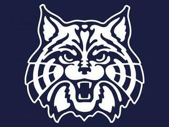 Wildcat Wallpaper