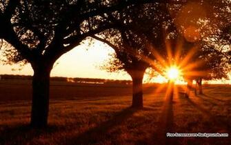 Sunset Sunrise Screensavers And Background