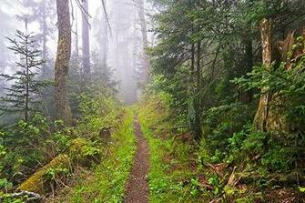Appalachian Trail Wallpaper