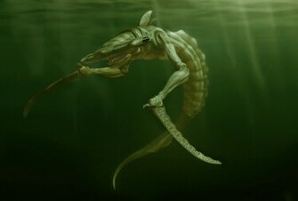 Fantasy Sea Monster Wallpaper