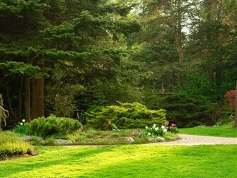 Beautiful Garden HD Desktop Natural Wallp Wallpaper