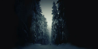 Darkness Has Fallen Pics