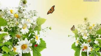 Beautiful Flowers Butterfly HD Wallpaper For Android And Desktop
