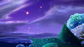 Night Star HD Wallpaper Beautiful Every