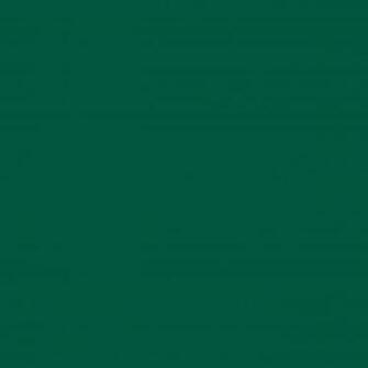 Sacramento State Green Solid Color Background