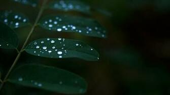 Dark Colors Wallpaper Black Desktop Background
