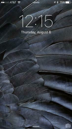 Black Feather Wallpaper