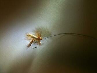 Adventures In Fly Fishing The Official Of Deer