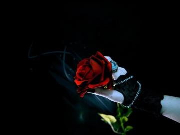 Dark Hand Rose Glove Ring Black Wallpaper HD Desktop And