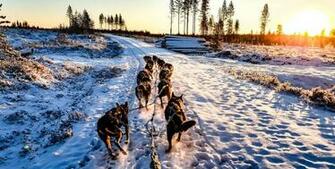 Hossa Pictures Image