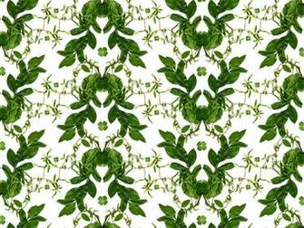 Wallpaper Patterns Singsurf Interactive Geometry Richard Morris