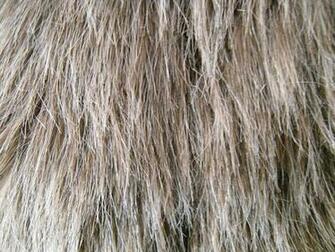 Shag Faux Fur By Rhabwar Troll Stock
