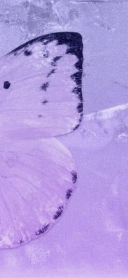 Cool Light Purple Wallpaper